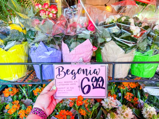 trader-joes-floral-12