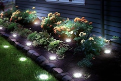 Solar Ground Lights 12-Pack, Only $14.99 on Amazon (Reg. $38) card image