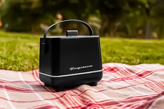 AI image created by ChatGPT of the Frigidaire portable fridge on a picnic blanket outdoors