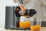 Cold Press Juicer