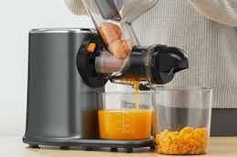 Cold Press Juicer