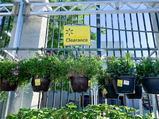 walmart plant clearance f 2021 1623855883 1623855883