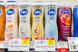 publix-dial-body-wash