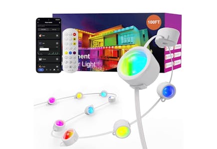 Permanent Outdoor Lights