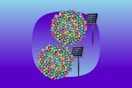 Two sets of solar Christmas lights in red, blue, yellow, and green
