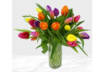 Rainbow Tulips Floral