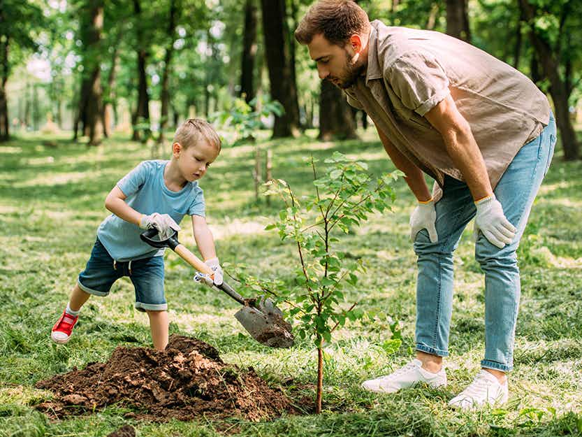 A man standing next to a small child as they plant a tree together.
