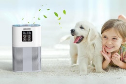 HEPA Air Purifier, Only $30 For Amazon Prime Members (Reg. $100) card image