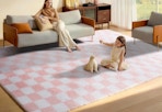 pink and white checkered area rug with a woman and her child