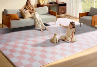pink and white checkered area rug with a woman and her child