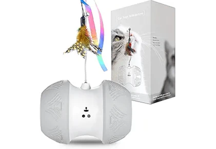 Cat Toy