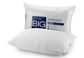 The Big One Pillow