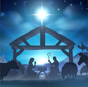 Christmas Nativity Scene Backdrop