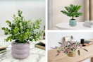 3 lifestyle images of faux plants from Walmart