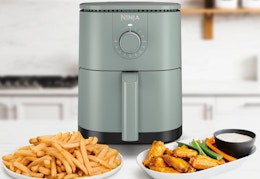 walmart ninja mini air fryer
