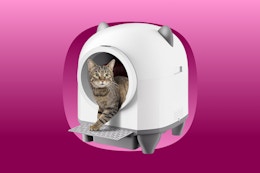 Self-Cleaning Cat Litter Box, Only $150 With Amazon Prime card image