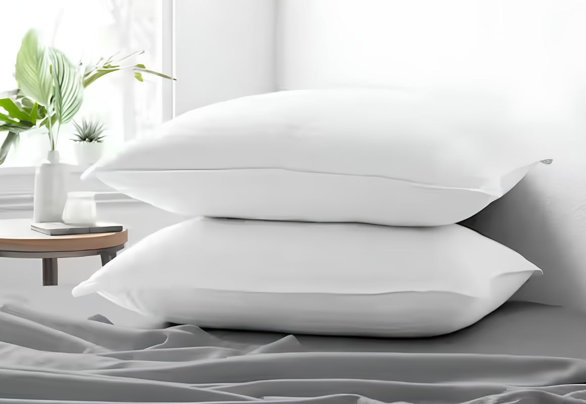 Becky Cameron Pillows 2-Pack