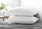 Becky Cameron Pillows 2-Pack