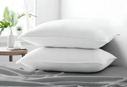 Becky Cameron Pillows 2-Pack