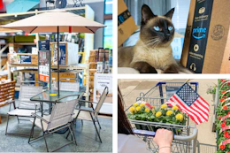 memorial day sale shopping, amazon pet deals, and spring clothing deals