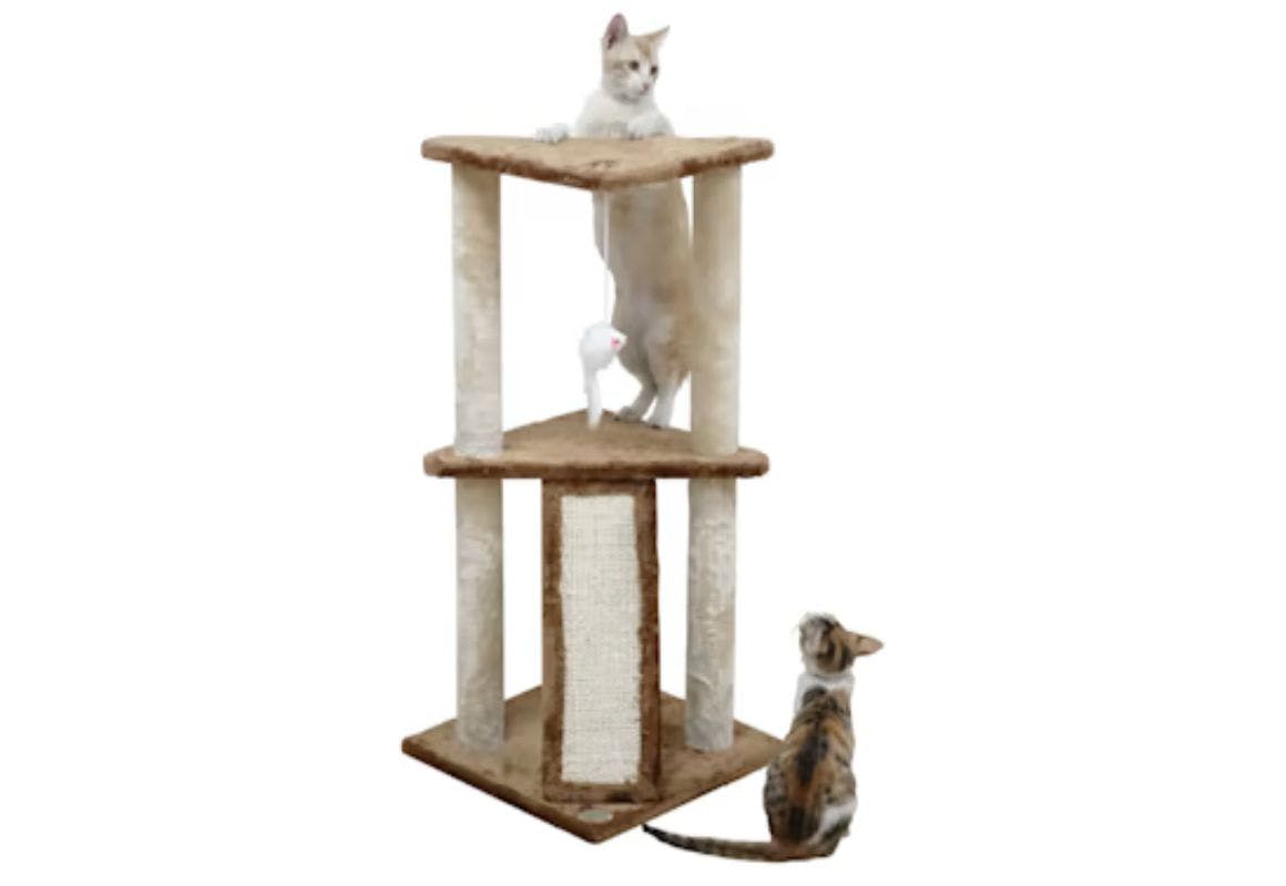 Kitten Tree With Scratching Ramp