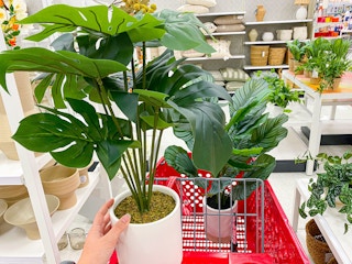 artificial plants target 2022 1652209821 1652209821