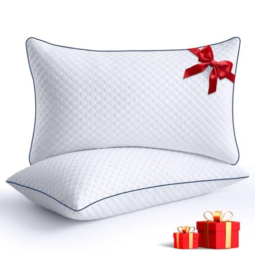 Shredded Memory Foam Pillows