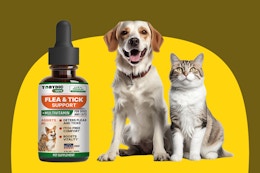 B0DT1J7QJ8 Flea and Tick Prevention Vitamins