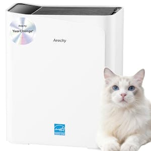 Energy Star Air Purifier