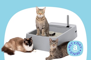 petsafe-litter-boxes-amazon pet day 2024