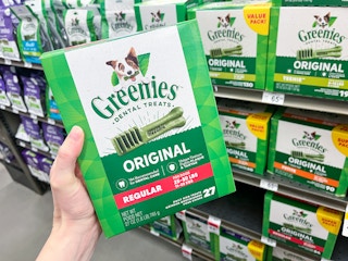 greenies dog treats being held in hand