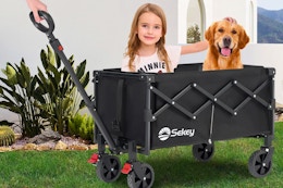 Shopper-Favorite Collapsible Wagon, Now $37 at Walmart (Ends Today) card image