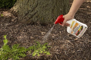 spectracide weed killer 