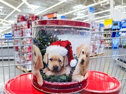 In store photo taken at Walmart of the puppy themed popcorn tins in shopping cart