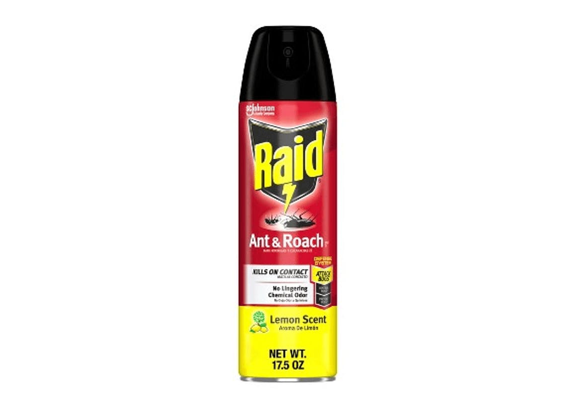 Raid Bug Spray