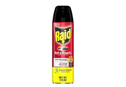 Raid Bug Spray