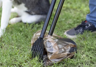 amazon arm hammer poop rake 2022 2 1651493901 1651493901