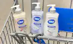 dial hand soap walmart