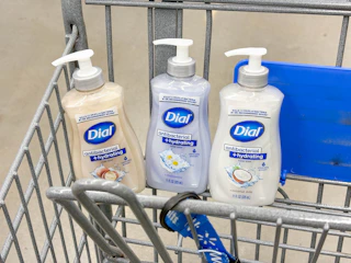 dial hand soap walmart