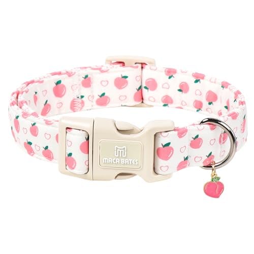 Dog Collar