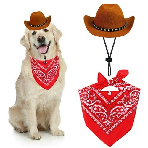 Dog Cowboy Costume