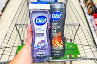 publix-dial-body-wash