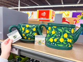 aldi-garden-9