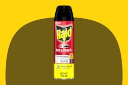 Raid Ant And Roach Killer Spray on yellow KCL template