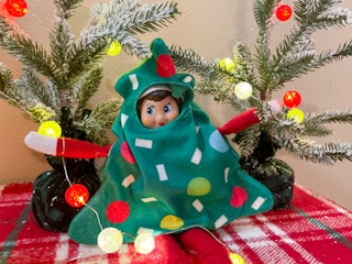 elf on the shelf doll in tree costume