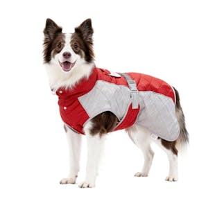 Dog Winter Coat
