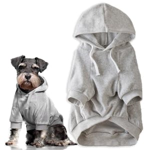 Dog Hoodie