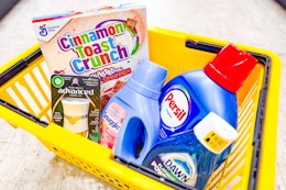 groceries in a dollar general shopping basket