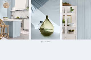 sherwin williams color of the year 