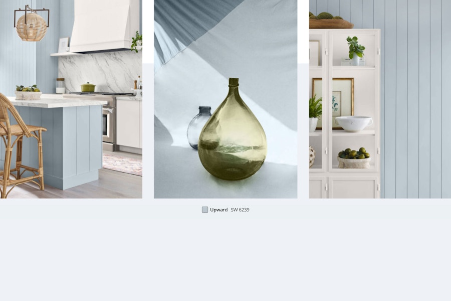 sherwin williams color of the year 